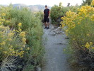 photo thumbnail #5