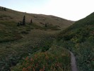 photo thumbnail #3
