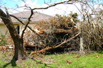 photo thumbnail #6