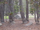 photo thumbnail #12