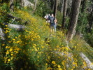photo thumbnail #5
