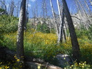 photo thumbnail #6