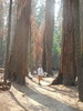 photo thumbnail #15