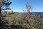 photo thumbnail #11