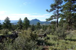 photo thumbnail #12