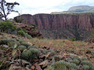 photo thumbnail #11