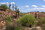 photo thumbnail #13