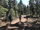 photo thumbnail #3