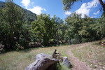 photo thumbnail #5
