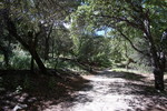 photo thumbnail #7