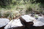 photo thumbnail #12