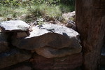 photo thumbnail #13
