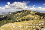 photo thumbnail #15