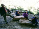 photo thumbnail #15