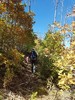 photo thumbnail #7