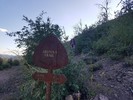 photo thumbnail #10