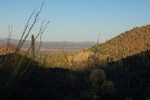 photo thumbnail #3