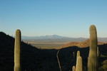 photo thumbnail #4