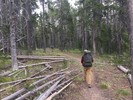 photo thumbnail #12