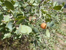 photo thumbnail #10