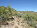 photo thumbnail #3
