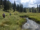 photo thumbnail #2
