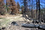 photo thumbnail #7