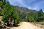photo thumbnail #1