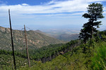 photo thumbnail #6