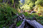photo thumbnail #14