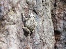 photo thumbnail #14