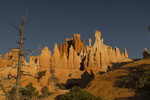 photo thumbnail #15