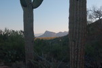 photo thumbnail #5