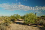 photo thumbnail #4