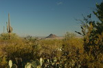 photo thumbnail #7