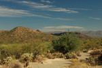 photo thumbnail #10