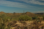 photo thumbnail #11
