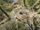 photo thumbnail #15