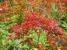 photo thumbnail #14