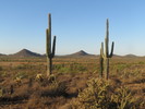 photo thumbnail #13