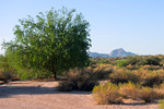 photo thumbnail #4
