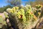 photo thumbnail #9