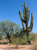 photo thumbnail #12