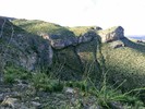 photo thumbnail #5