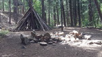 photo thumbnail #7