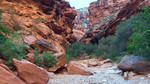 photo thumbnail #14