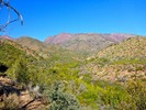 photo thumbnail #3