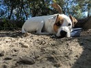 photo thumbnail #1