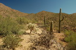 photo thumbnail #2