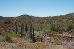 photo thumbnail #9